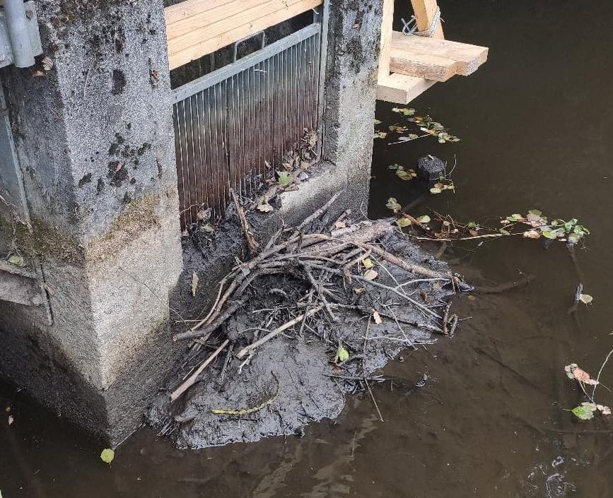 Vom Biber verbautes Ablaufbauwerk / Teichmönch an einem Fischteich.