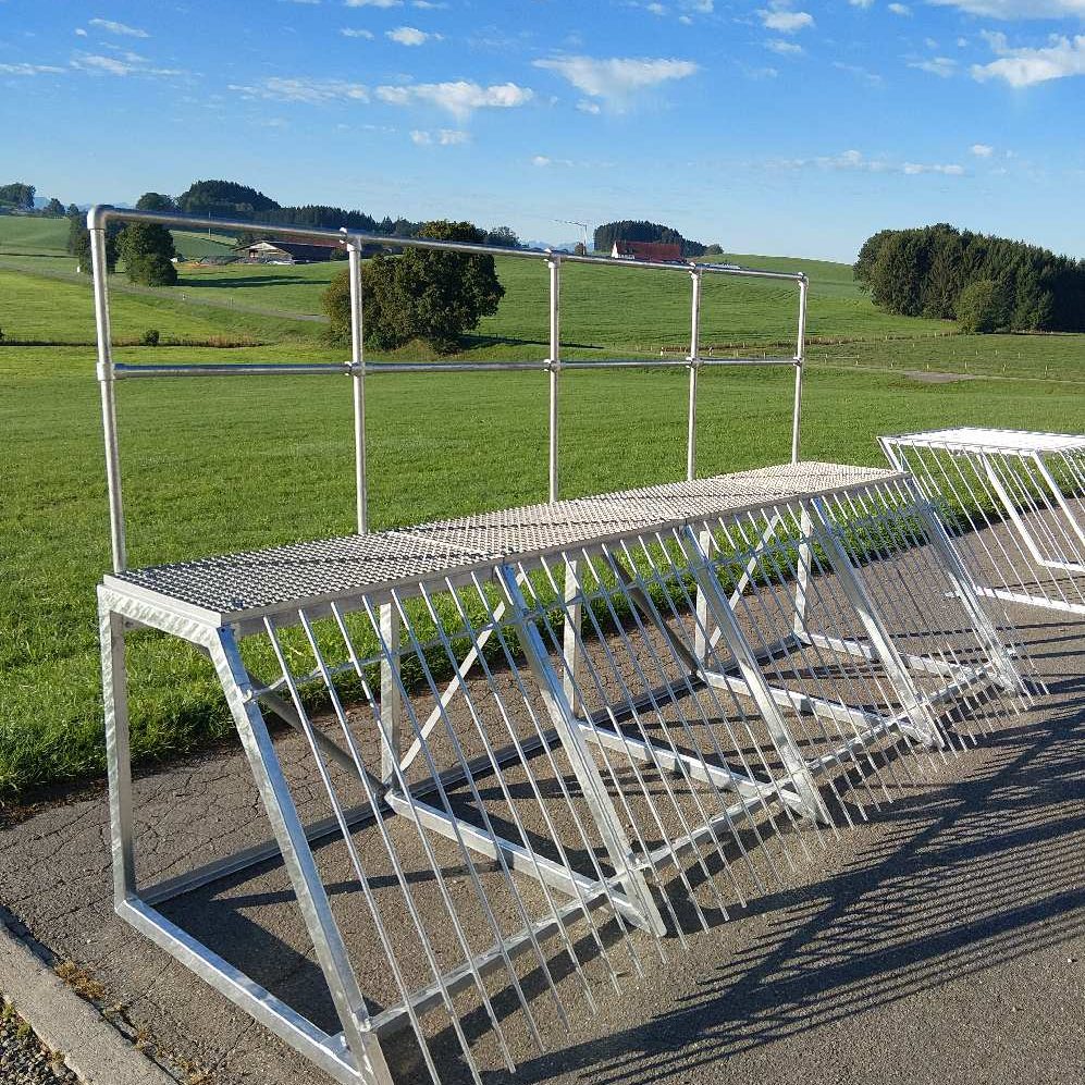 Fertiger Bibergitter Baukasten im Normalbetrieb des Fischteichs.