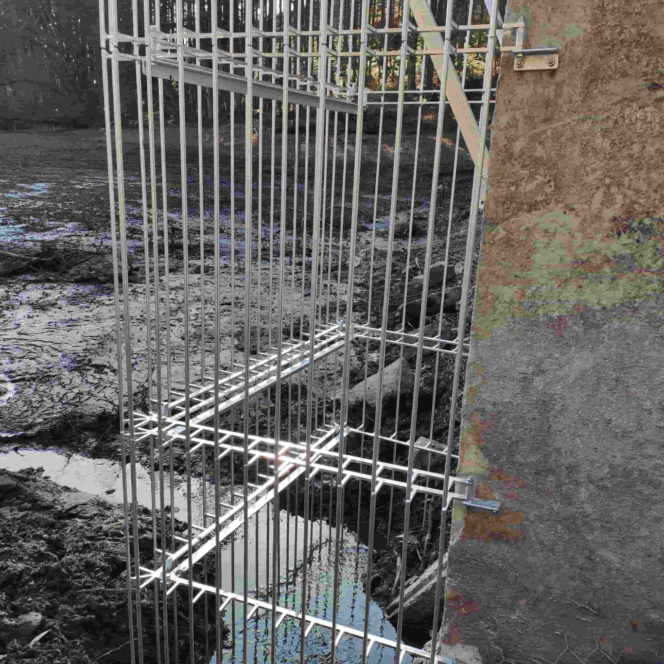 Bibergitter Baukasten Elemente aufgrund der Höhe des Teichmönchs in mehreren Ebenen übereinander gebaut.